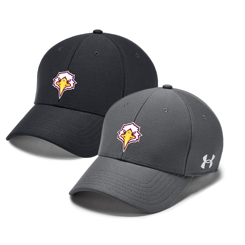 ua blitzing team cap