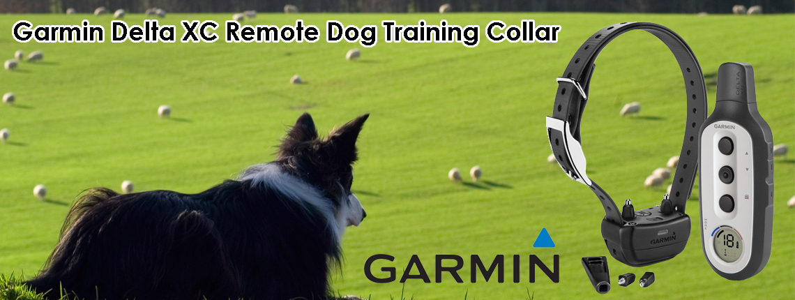 large dog shock collars