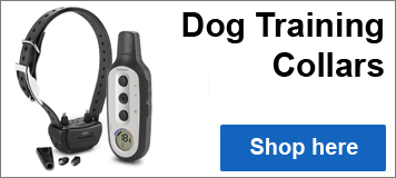 dog training collars