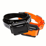 iq plus dog collar