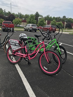 "Cosmo" and "Wanda", the Pedego Interceptor bikes "Cosmo" and "Wanda", the Pedego Interceptor bikes