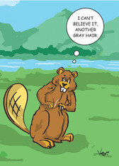 Dye the Beaver - 325 Funny Over The Hill Birthday Cards 6 Pack
