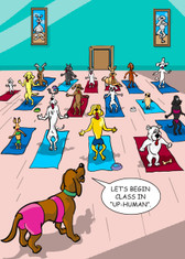 Up Human Birthday Yoga - 330 Funny Adult Birthday Cards 6 Pack