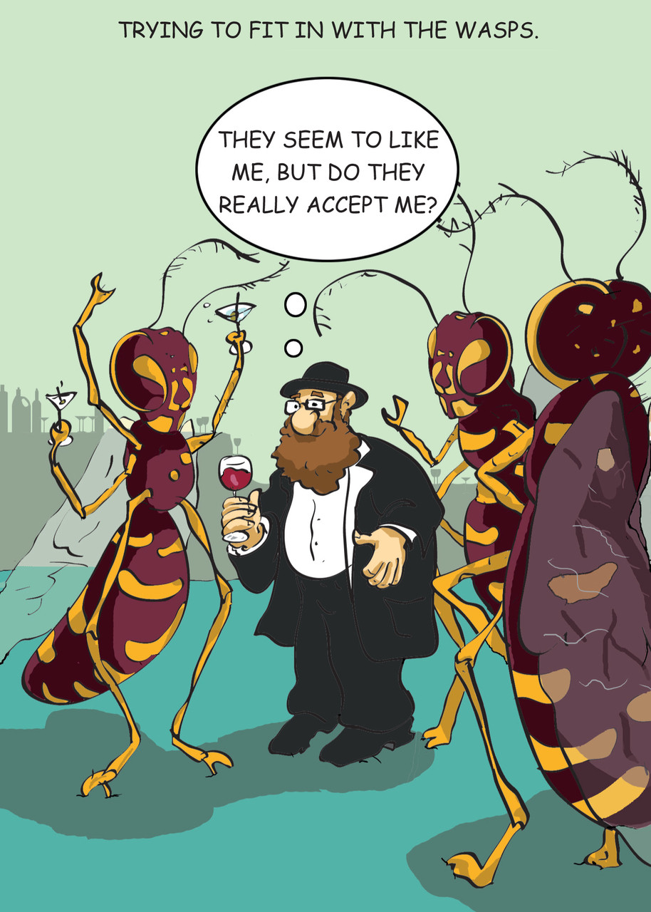 Wasps - 170 Funny Jewish Humor Cards 6 Pack - Vash Designs