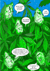 Best Buds - 518 - Funny Marijuana Birthday Card - 6 Pack
