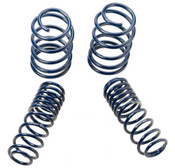 2007-2014 MUSTANG SHELBY GT500 SPRINGS