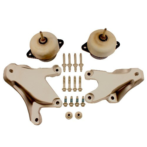 5.0L COYOTE MOTOR MOUNT Capaldi Racing, Inc.