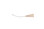 Disposable Oral Gavage Needles Curved