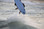 Description for the single image