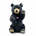 EAN 021695 Steiff alpaca black bear, black