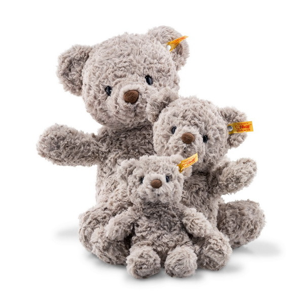 honey teddy bear