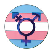 Transgender Symbol Lapel Pin Soft Enamel Rainbow
