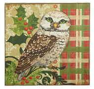 15.5 White Owl Print
