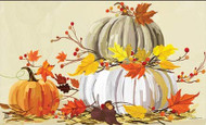 Neutral Pumpkins MatMate
