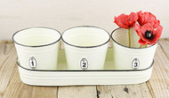 Cream Planters with Tray