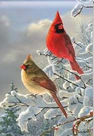 SAFA Winter Cardinal Garden Flag, Winter Flag, Bird Flag