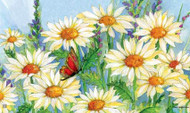 Shasta Daisies MatMate