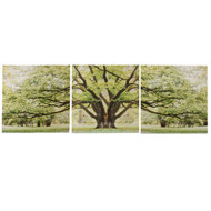 24" x 24" 3 Piece Tree Print