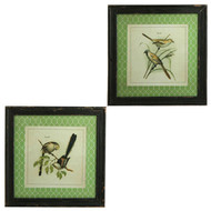 18" Bird Print - Set of 2