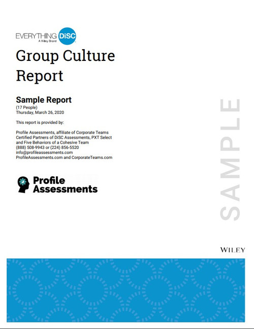 Everything DiSC Group Culture Report
