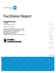DiSC® Facilitators Report