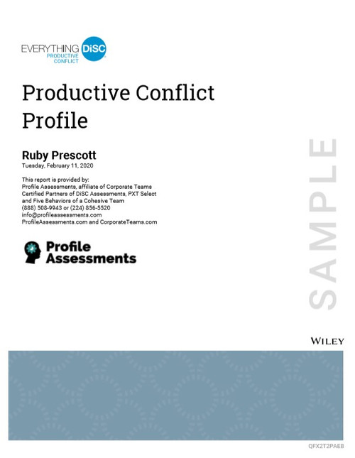 Everything DiSC Productive Conflict