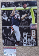 Chicago Bears Brian Urlacher #54 signed 16x20 Colorized interception photo with Legends of the Field hologram/COA authentication!