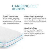 CarbonCool Omniphase ZZQQMPCC Queen Pillow