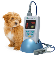 NT1A-V  with Customer