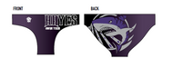 Hayes Brief-1