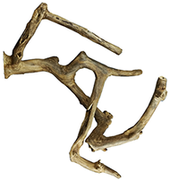 Java Wood Multi Branch Perch Med.