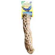 Cholla Cactus Perch Lg.