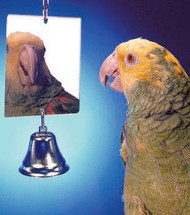 Mirror with Bell
