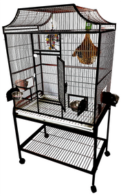 Elegant Flight Cage 32''x21''x61'' 