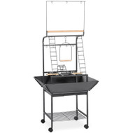 17-5/8" x 16-1/2" x 59" Small Parrot Playstand