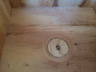 Bird Breeding Boxes and Bird Nests 
