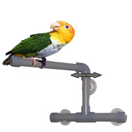 Zoomax shower and window perch