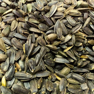 Black Oil Sunflower