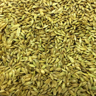 Canary Seed