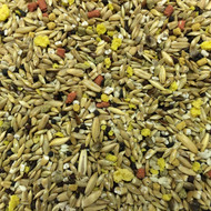 Canary Vita Seed