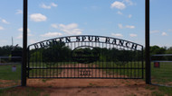 Double Arch - Triple Art Painted Gate