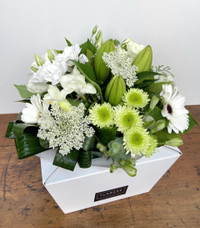 Classic  Whites Posy in a Box