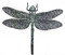 The Dragonfly pattern is an option that can be special ordered with most Always Azul glaze colors.