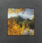 This fine art photographic print by David Clack is mounted on tile. This image has a fade and scratch resistant laminate coating. 