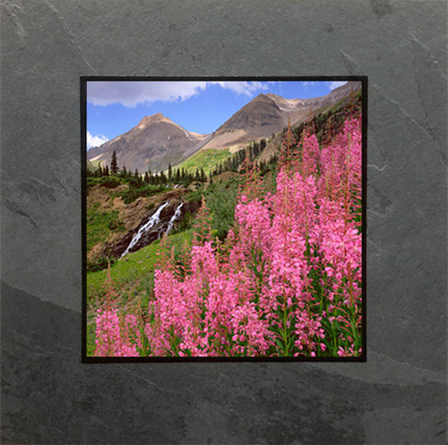 This fine art photographic print by David Clack is mounted on tile. This image has a fade and scratch resistant laminate coating. 