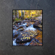 This fine art photographic print by David Clack is mounted on an oxidized porcelain tile. This image has a fade and scratch resistant laminate coating. 