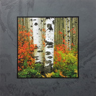 This fine art photographic print by David Clack is mounted on tile. This image has a fade and scratch resistant laminate coating. 