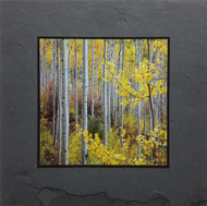 This fine art photographic print by David Clack is mounted on tile. This image has a fade and scratch resistant laminate coating.