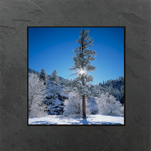 This fine art photographic print by David Clack is mounted on tile. This image has a fade and scratch resistant laminate coating.