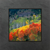 This fine art photographic print by David Clack is mounted on tile. This image has a fade and scratch resistant laminate coating.